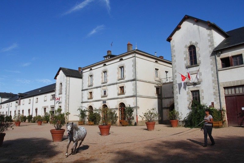 Haras De La Vendée