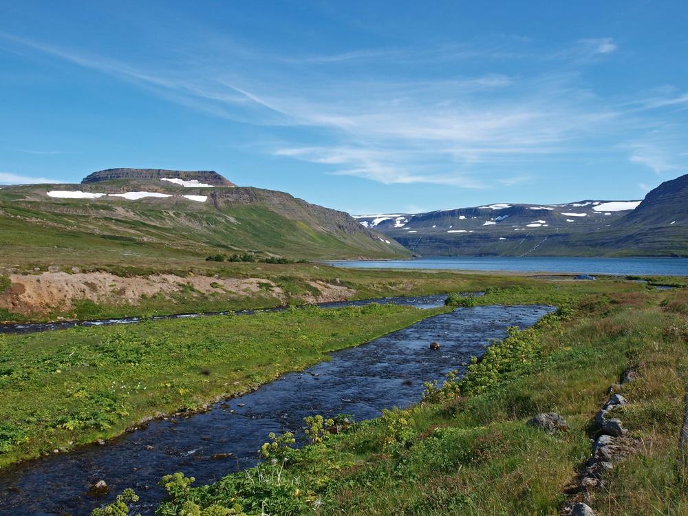 Hornstrandir Nature Reserve
