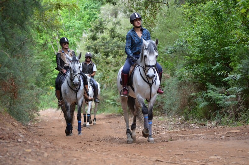 Horseback Riding