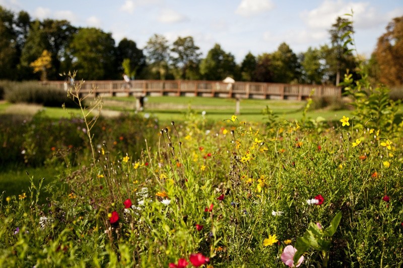 Jardin Des Anglais