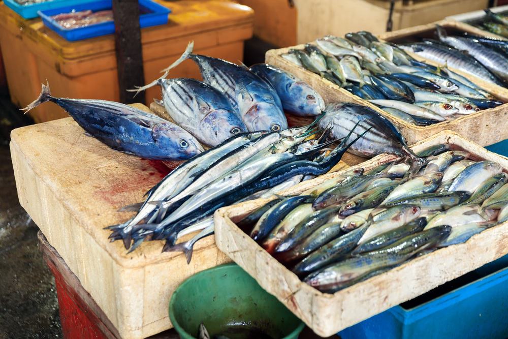 Jimbaran Fish Market