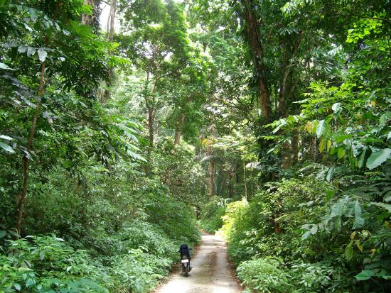 Laiwangi Wanggameti National Park