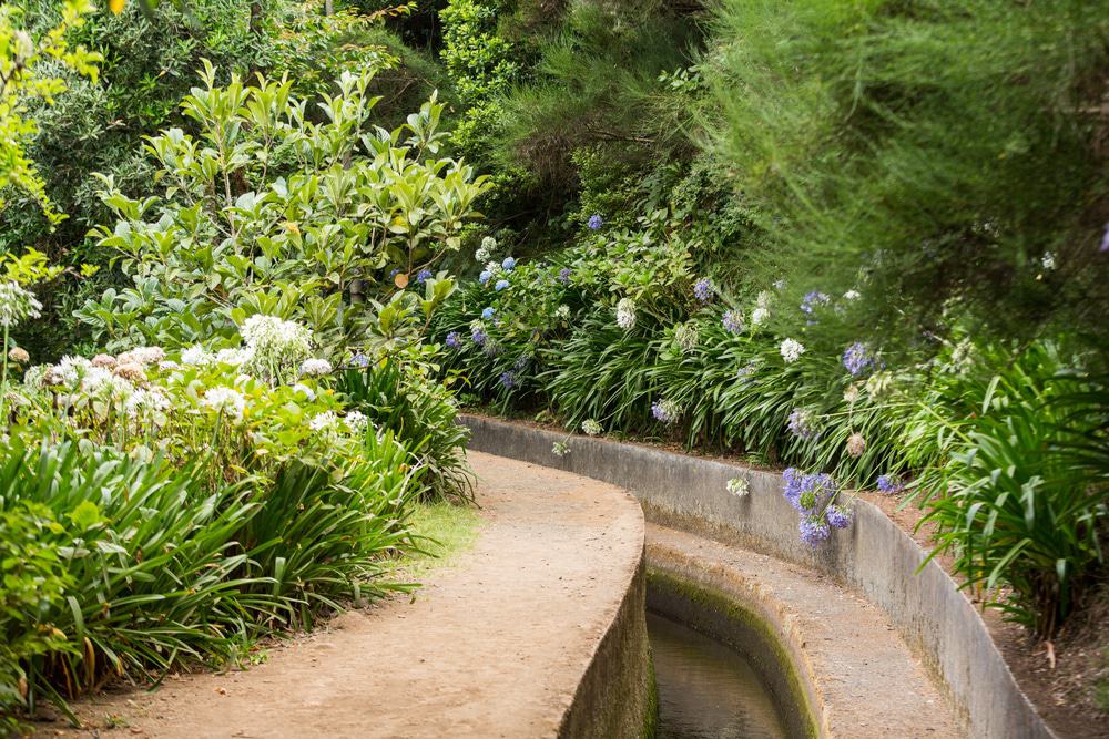 Levada Do Norte