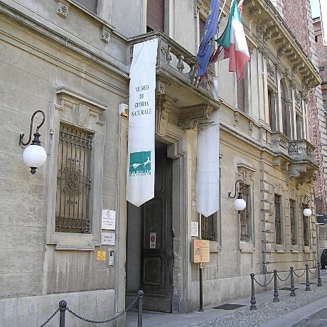 Museo di Storia Naturale Faraggiana Ferrandi