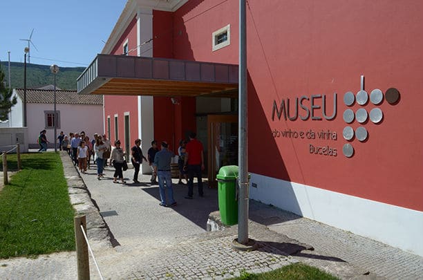 Museu Do Vinho E Da Vinha