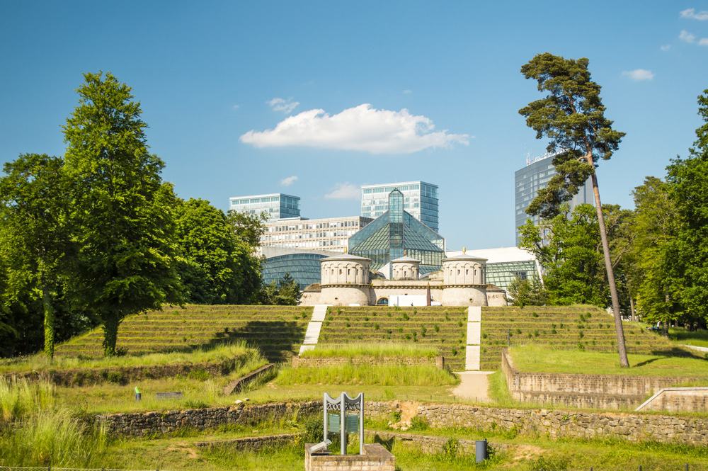 Museum Of Modern Art