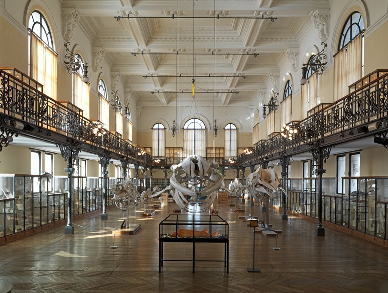 Nouveau Musee National De Monaco