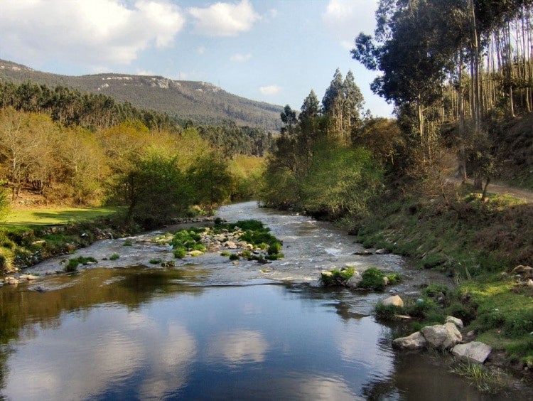Paleozoic Park Of Valongo