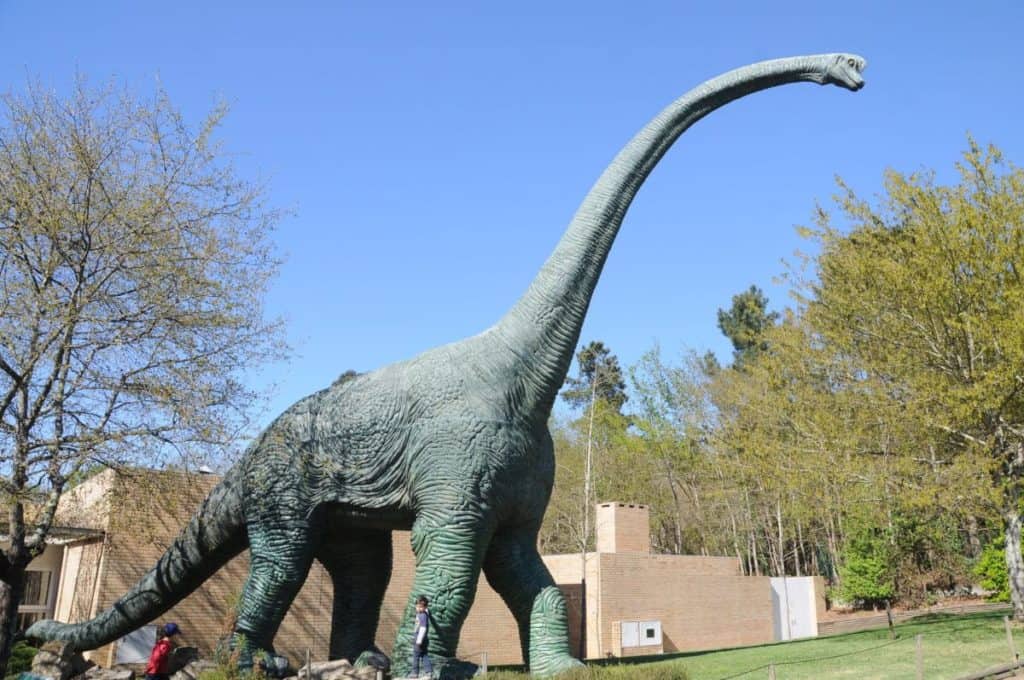 Parque Biologico De Gaia