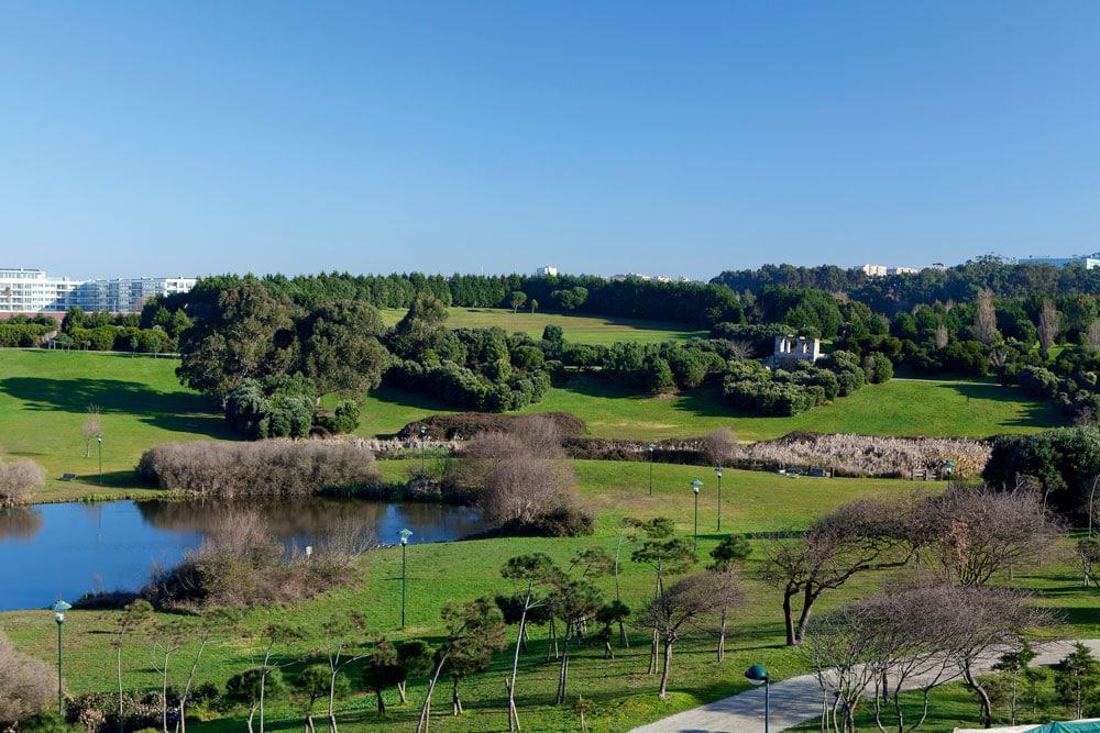 Parque da Cidade