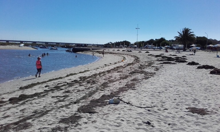 Praia Fluvial Samouco