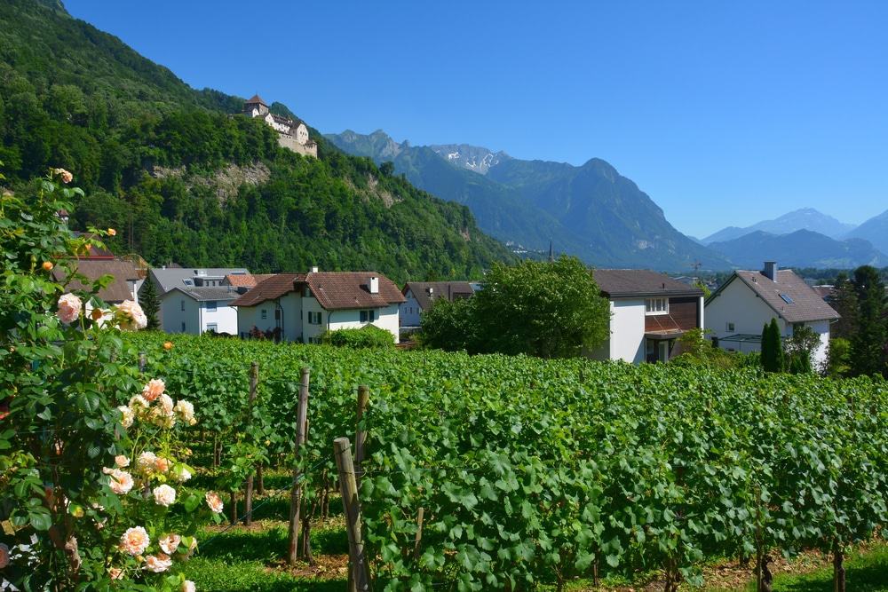 Prince Of Liechtenstein Winery