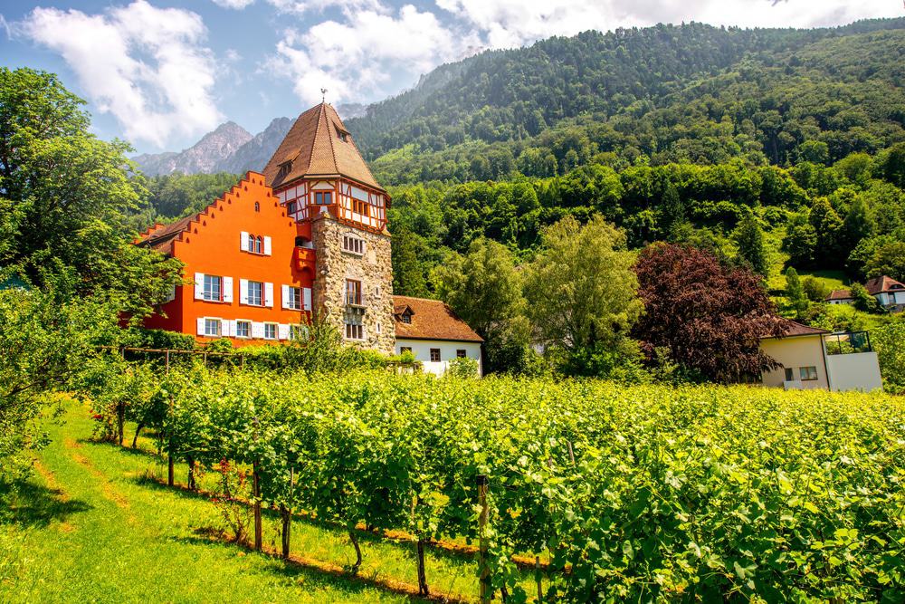 Red House In Vaduz