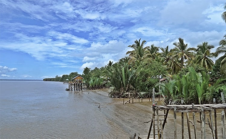Sesayap River Protected Forest