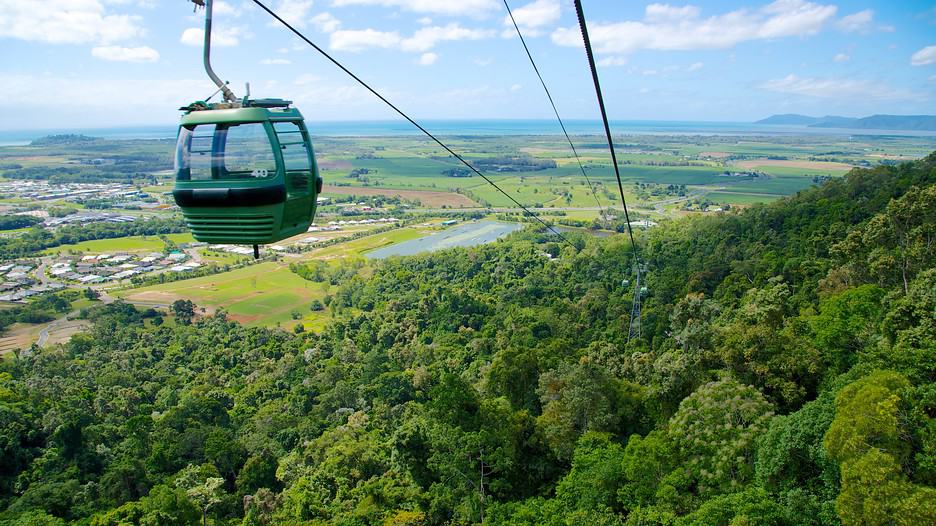 Skyrail Rainforest Cableway