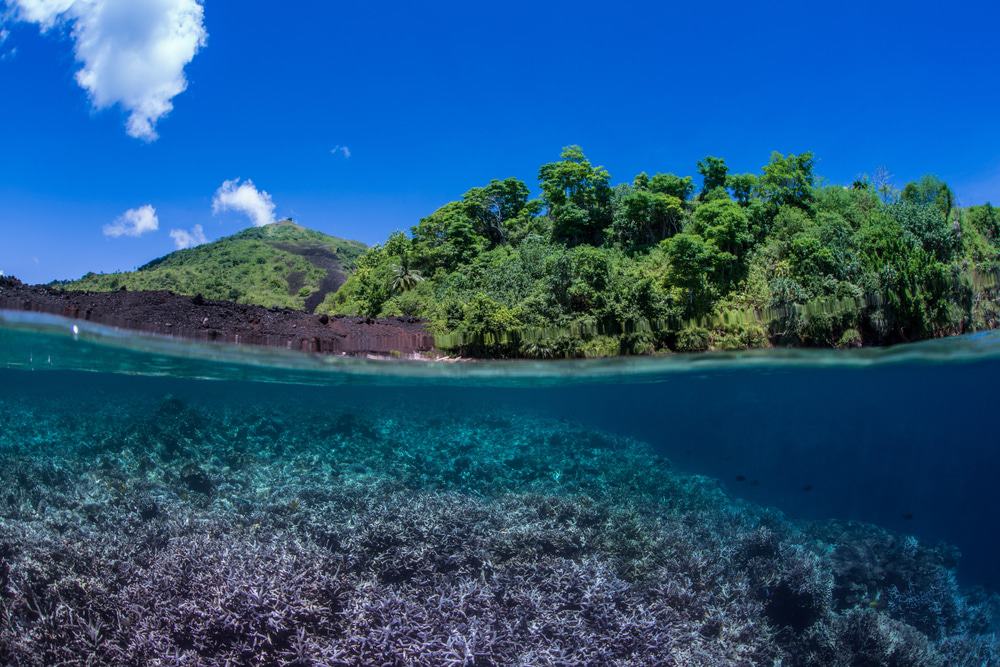 The Lava Flow Dive Site In Banda Island