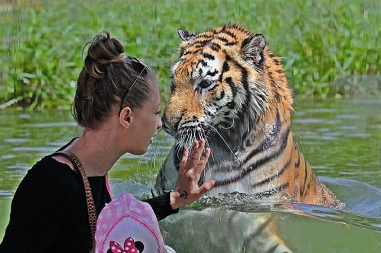 Zoo da Maia