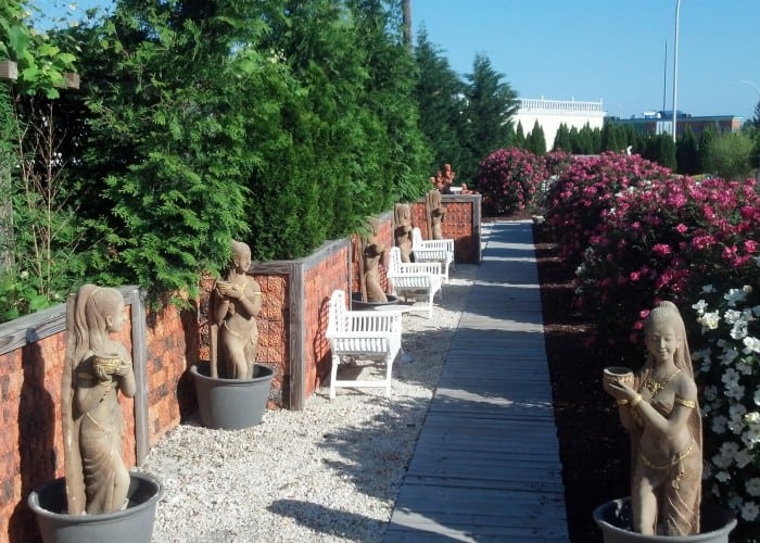 Dover Garden Suites