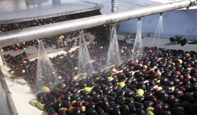 Familia Zuccardi