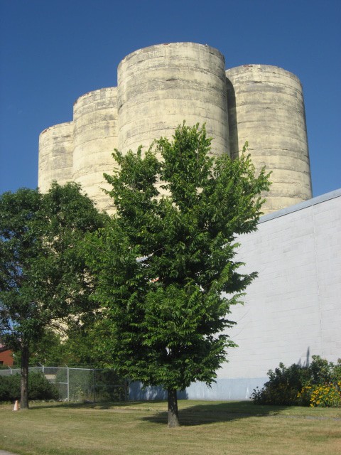 Flour Mill Museum
