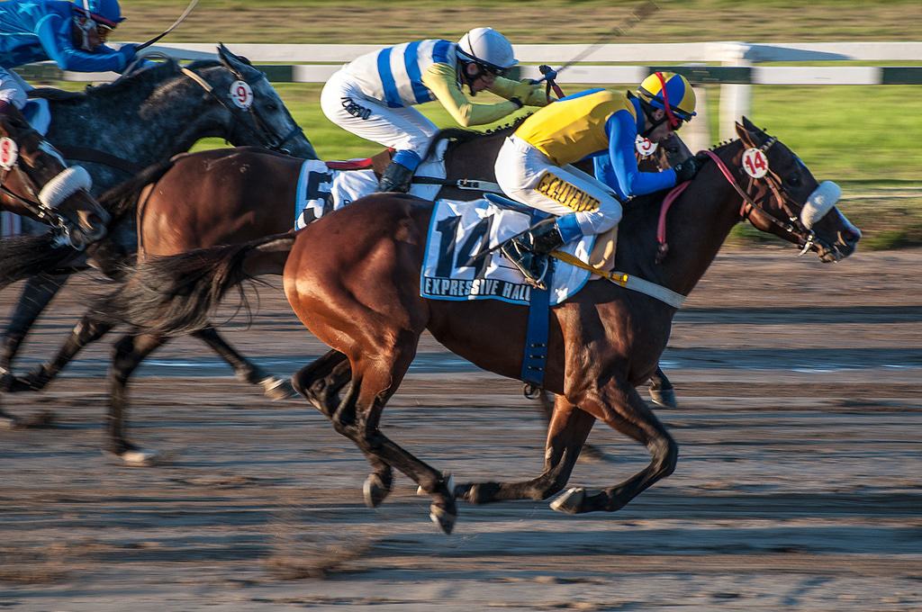 Horse Racing In Palermo
