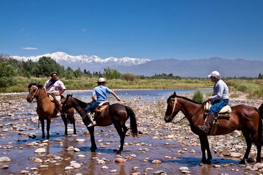 Horseback Riding In The Andes