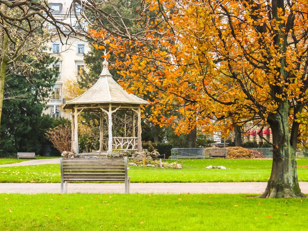 Jardin Anglais