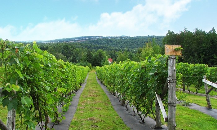 La Halte Des Pèlerins