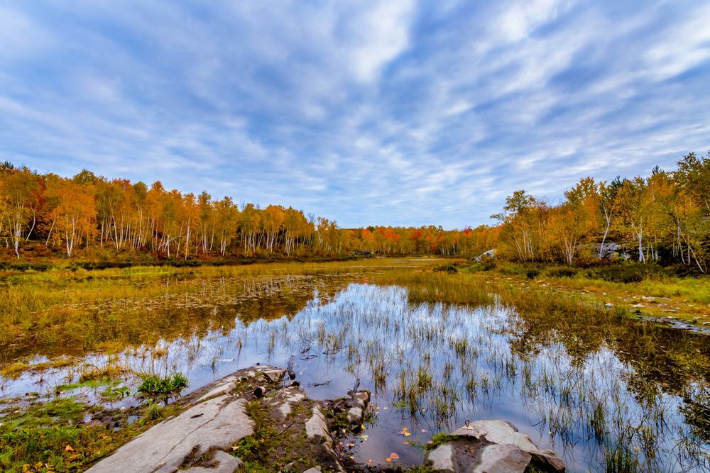 Lake Laurentian Conservation Area