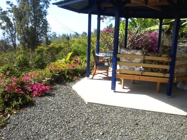 Mango Sunset Bed And Breakfast Inn