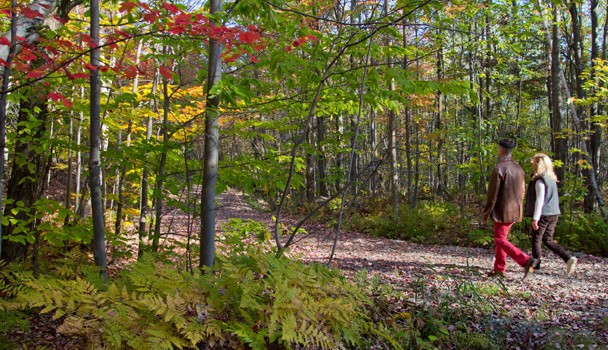 Mont Bellevue Park