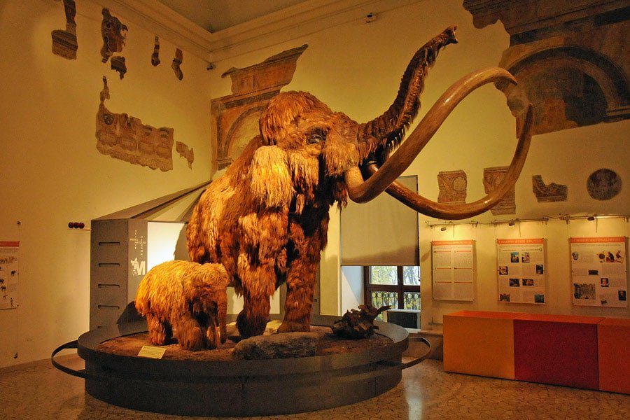 Museo Di Scienze Naturali E Archeologico