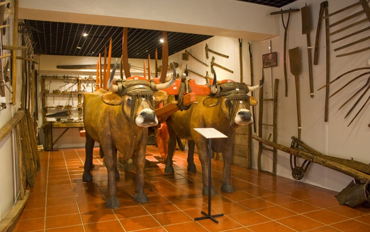 Museu Rural De Salselas