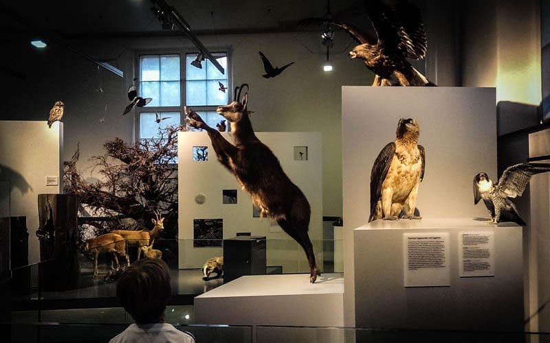 Natural History Museum