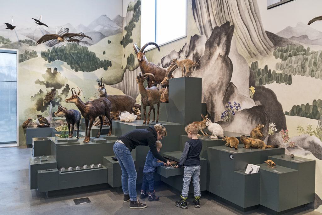 Naturmuseum St Gallen
