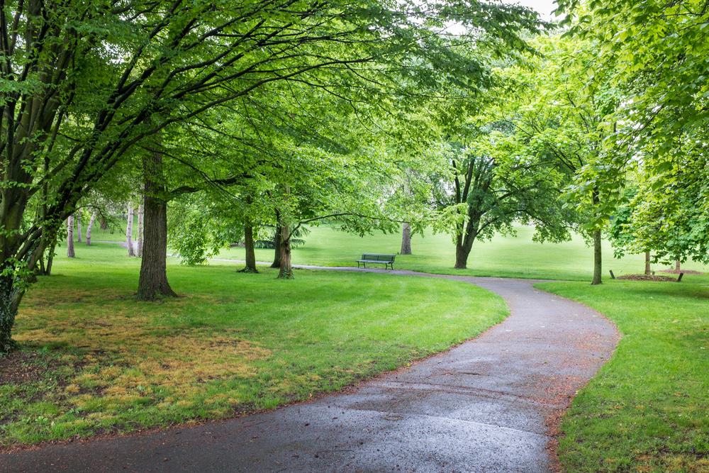 Parc De La Grange