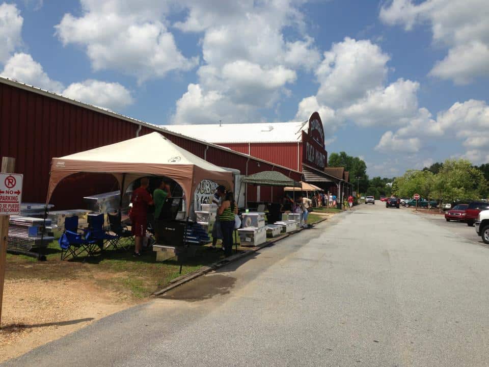 Pendergrass Flea Market