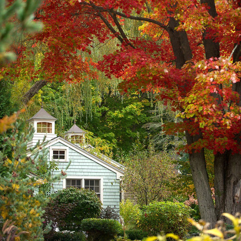 The Cottages At Cabot Cove