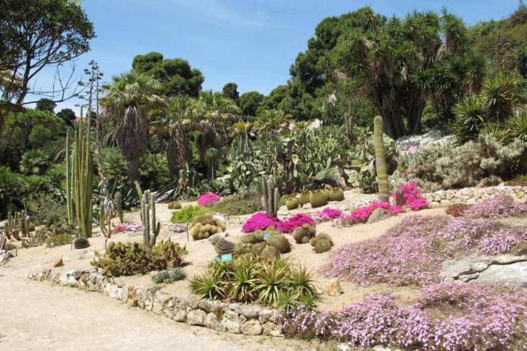 University Botanical Gardens