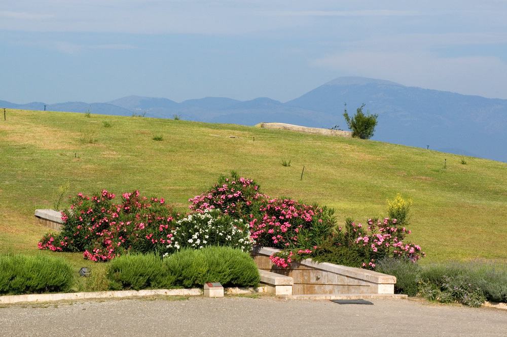 Vergina Royal Tombs Museum