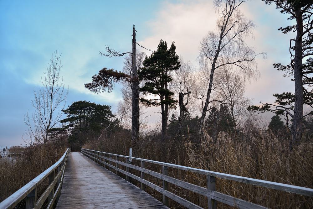 Weissenau Nature Reserve