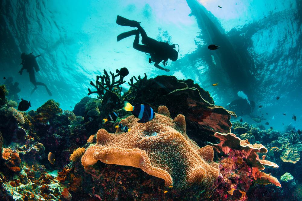 Scuba Diving