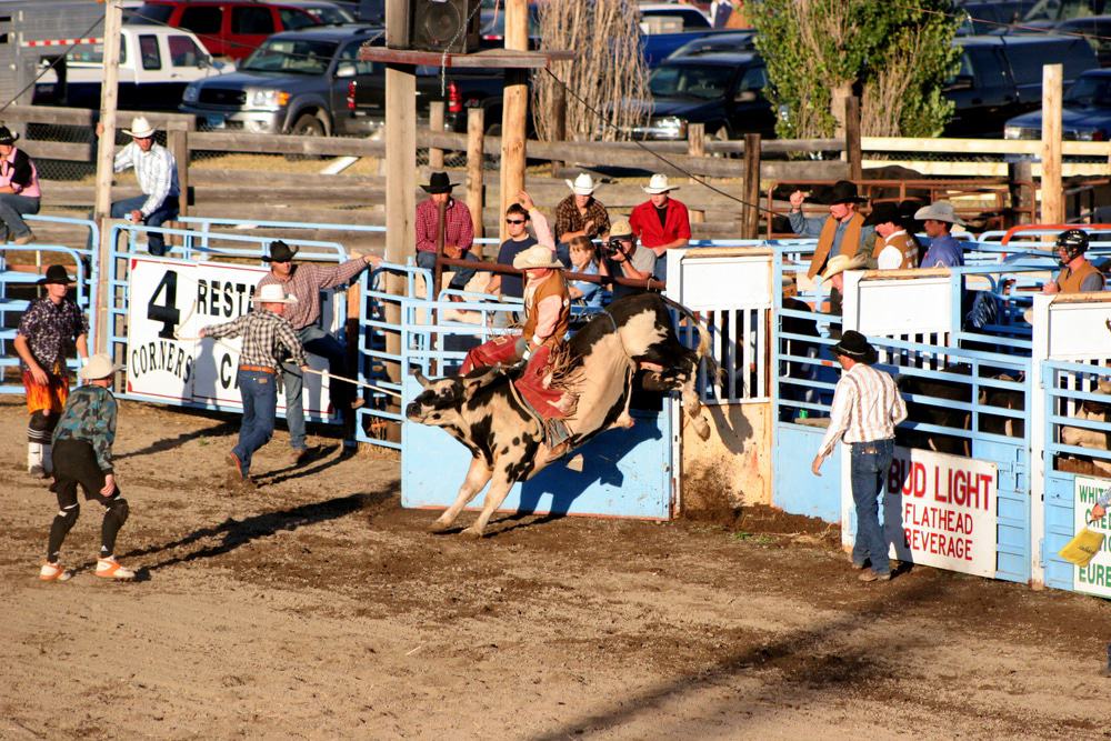 Rodeo