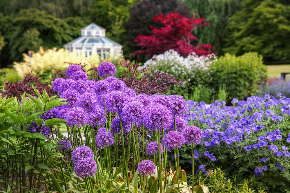 Botanical Garden