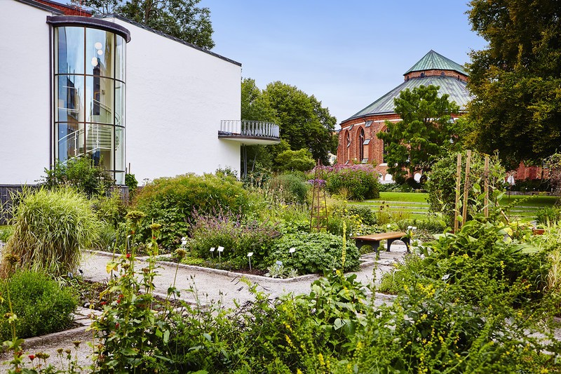 Botaniska Trädgården