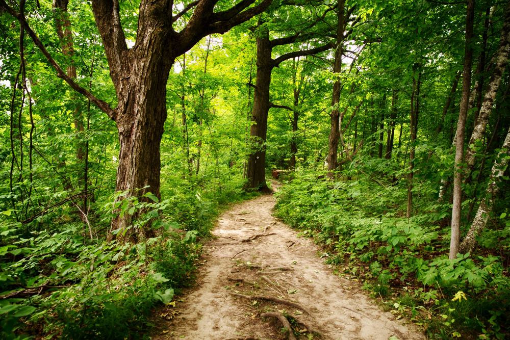 Bruce Trail