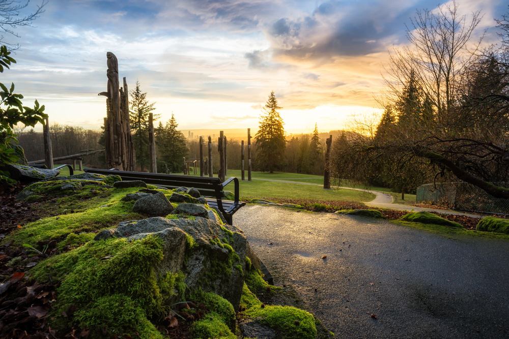 Burnaby Mountain