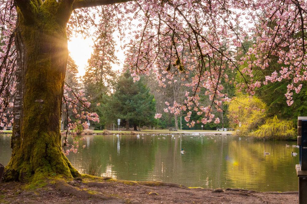 Central Park