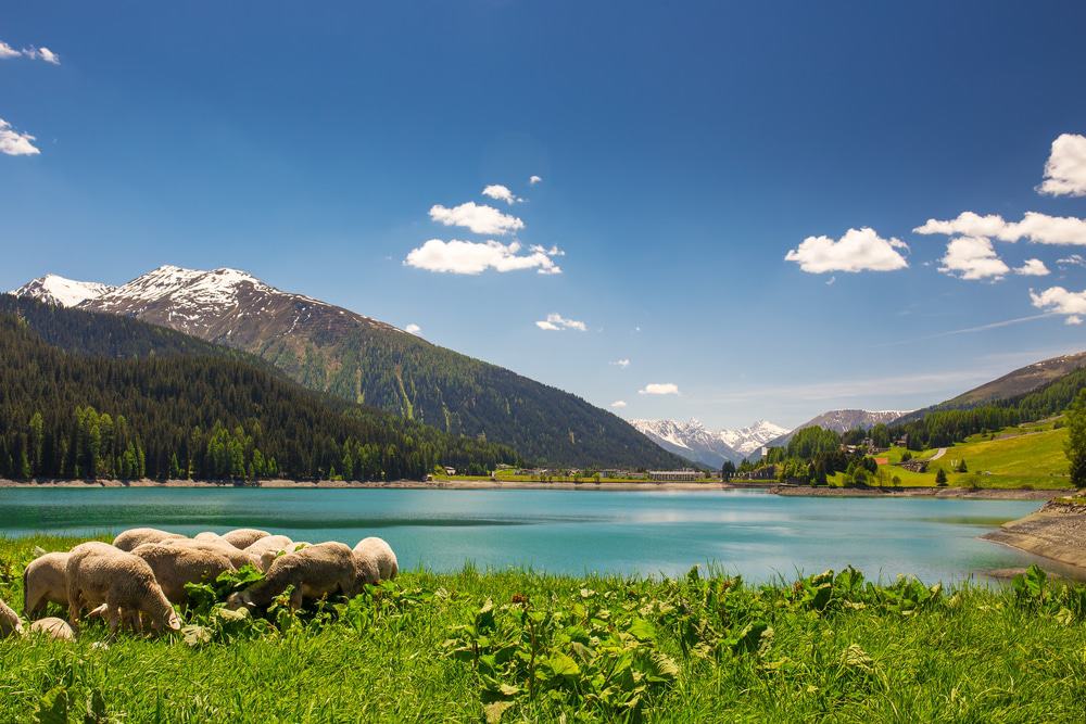 Lake Davos