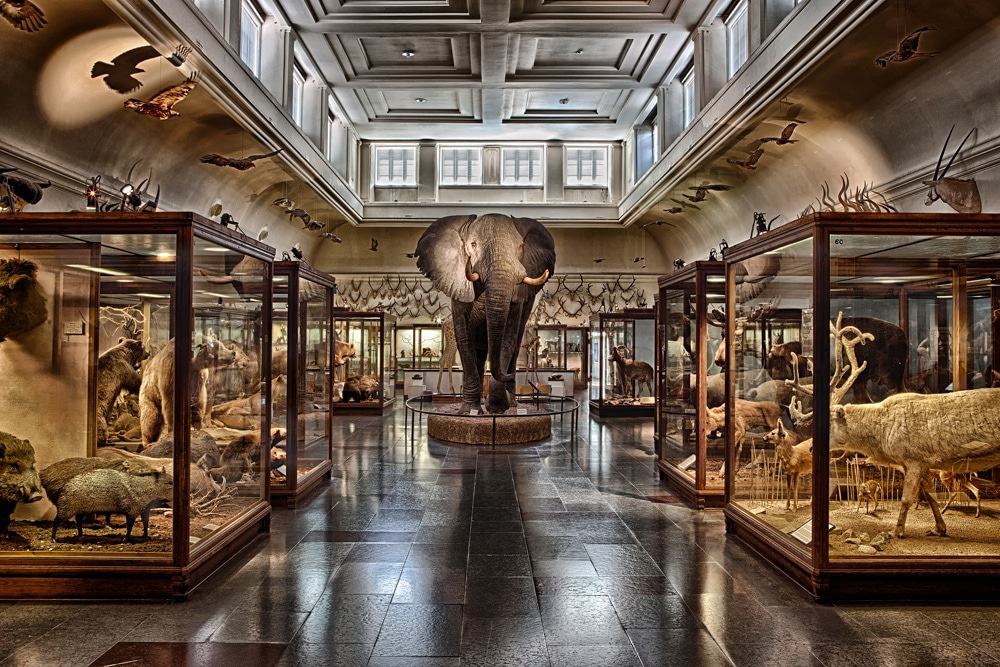 Natural History Museum
